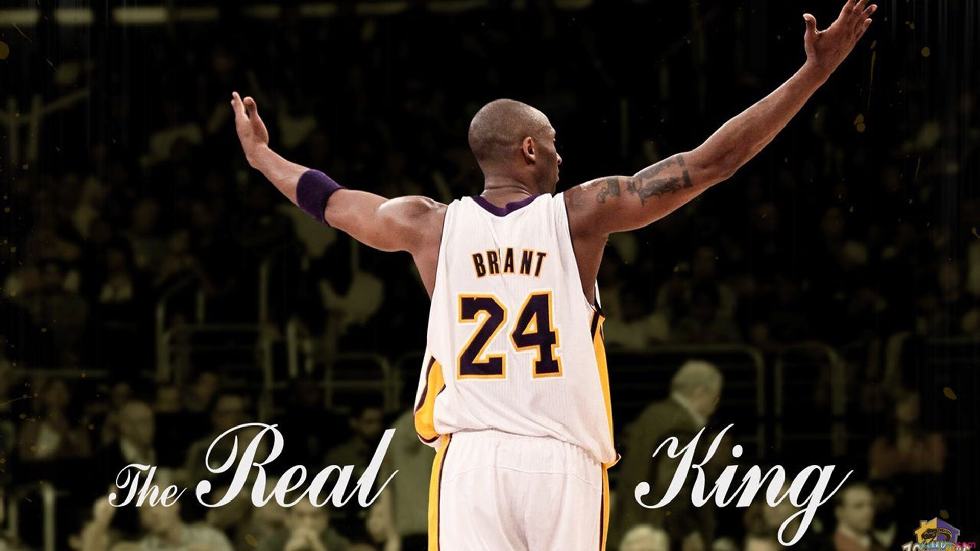 开云体育中国官网-体操圈颜值天花板再上热搜